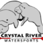 Crystal River Watersports: Explore Florida’s Nature Coast